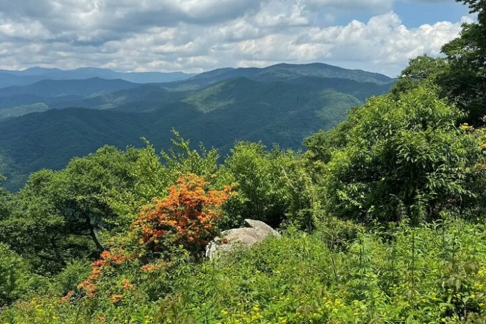 Image 12