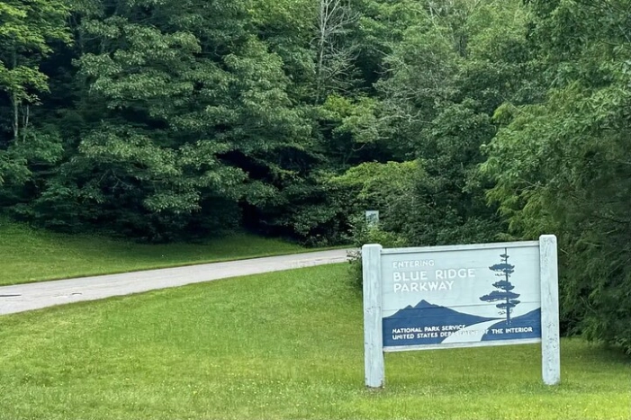 Image 13