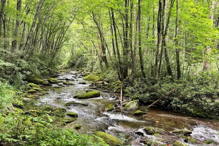 Image 14