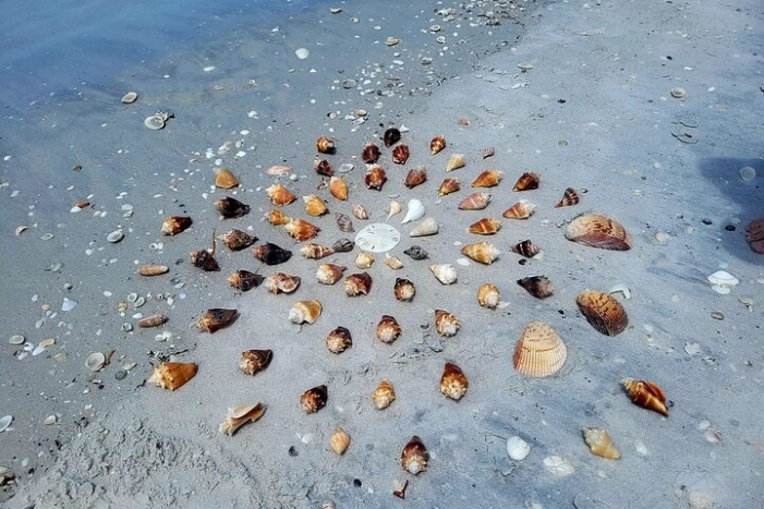 Image 9