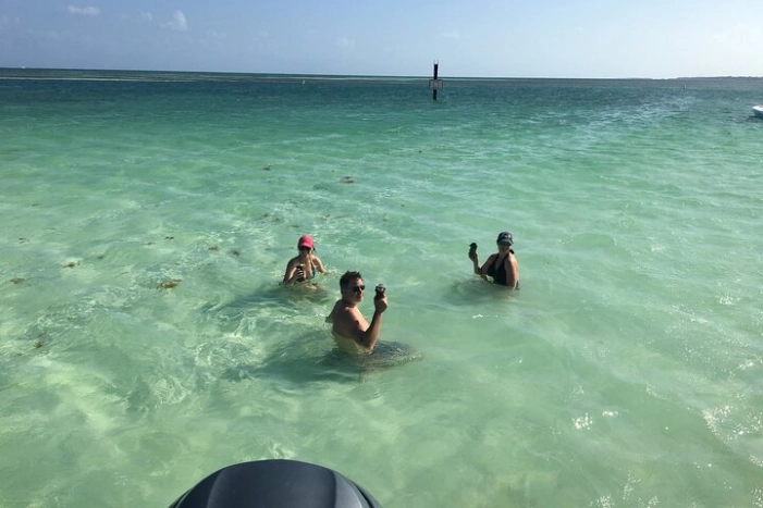 Image 15