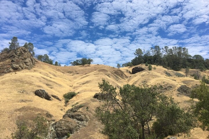 Image 35