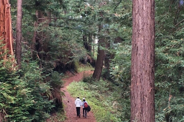 Image 15