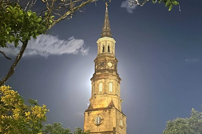 Image 15