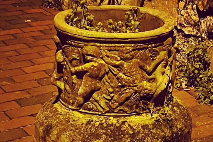 Image 9