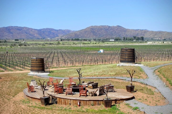 Valle de Guadalupe Private Driver and Vehicle 10 hours