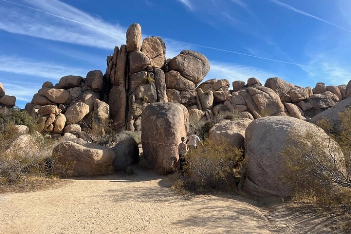 Image 35