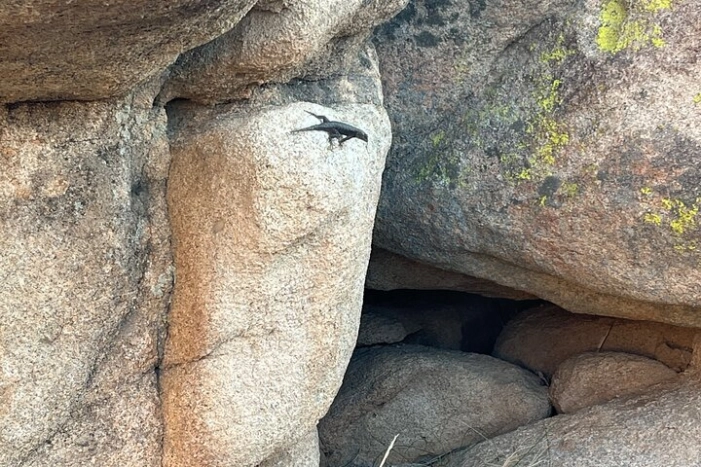 Image 14