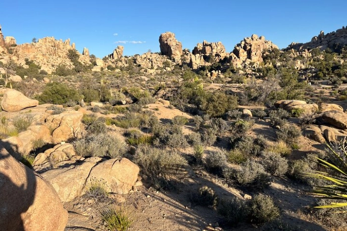 Image 13