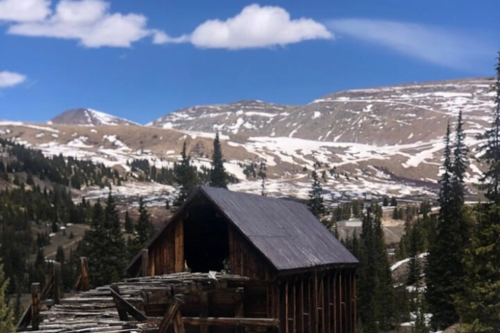 Image 6