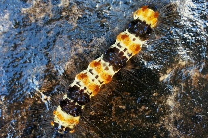 Image 22