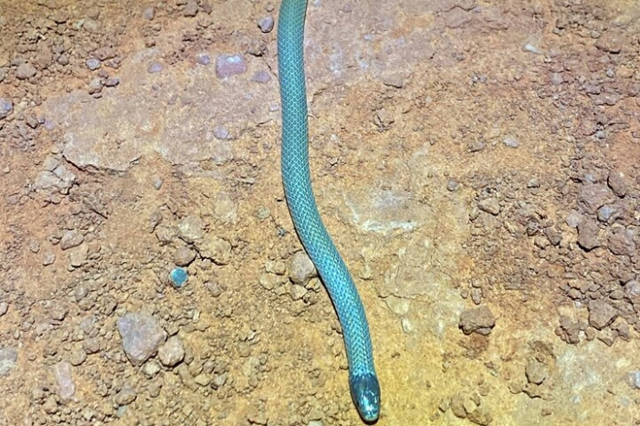 Image 10