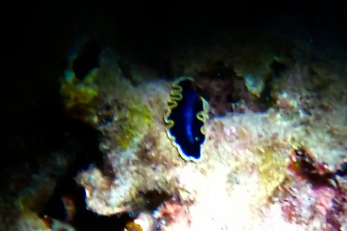 Image 13