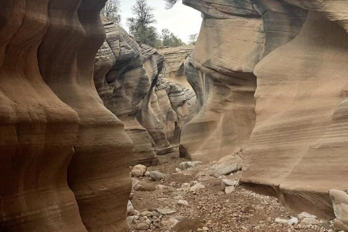 Image 6