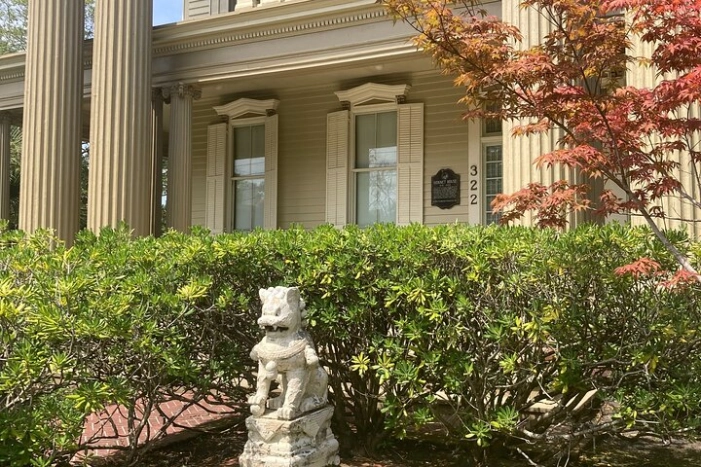 Image 13