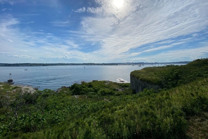 Image 12