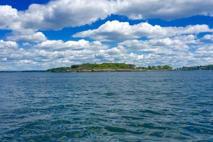Image 8