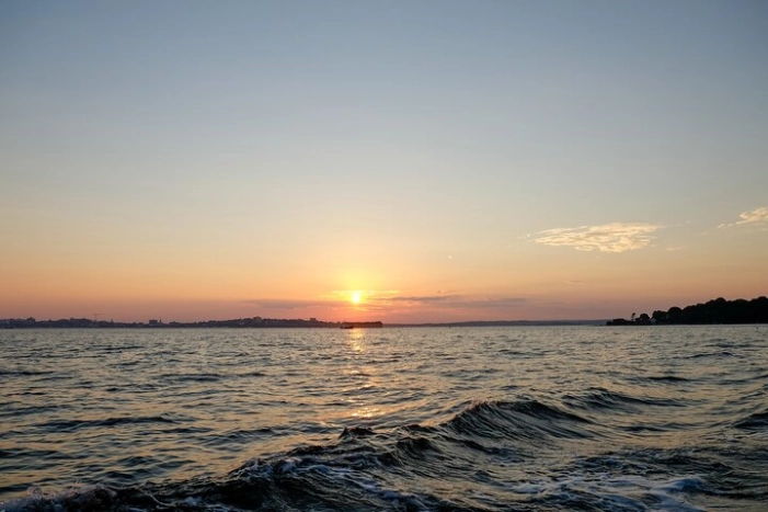 Image 11