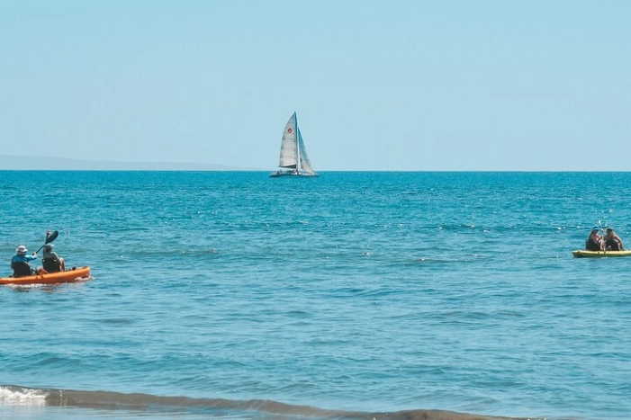 Image 12