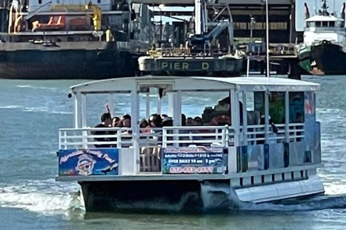 Image 13
