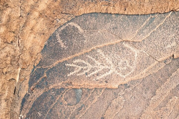 Image 10