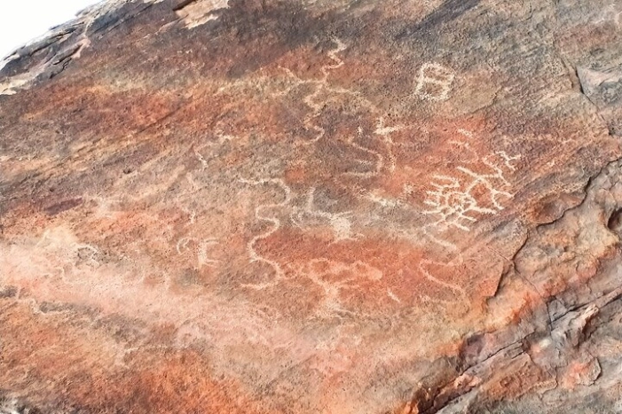 Image 8