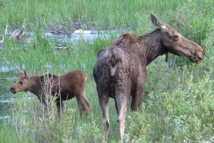 Image 13