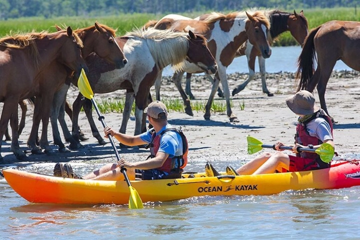 Kayak Tour along Assateague & Chincoteague Island, Virginia