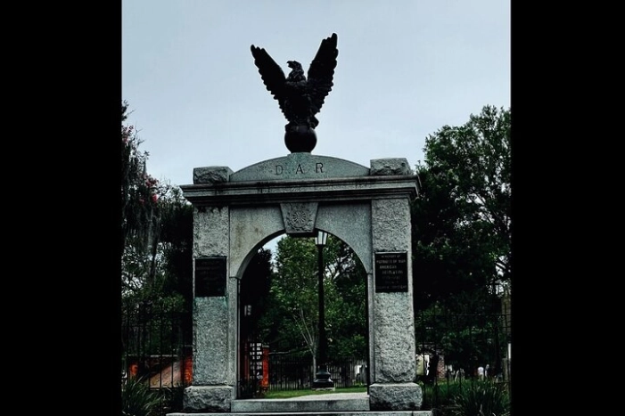Image 6
