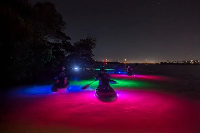Bioluminescent Comb Jelly & LED Kayak / Paddle board Excursion 