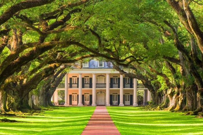Small Airboat and Oak Alley Plantation Tour from New Orleans