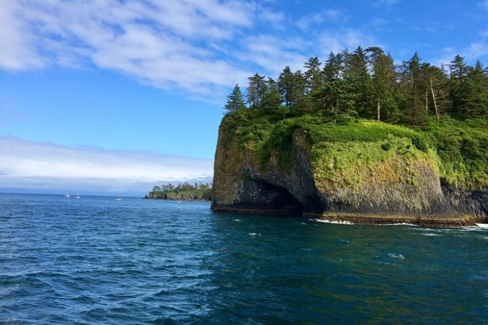 Sitka Sea Birds & Marine Life Private Charter Scenic Eco-Tour