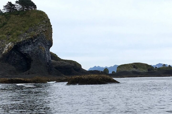 Image 25
