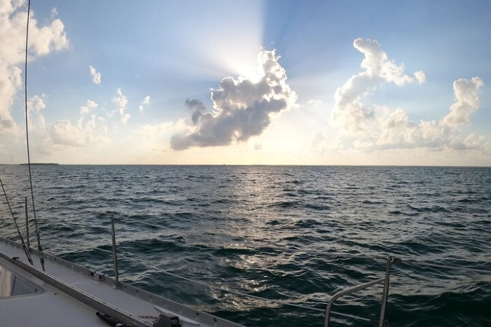Image 33