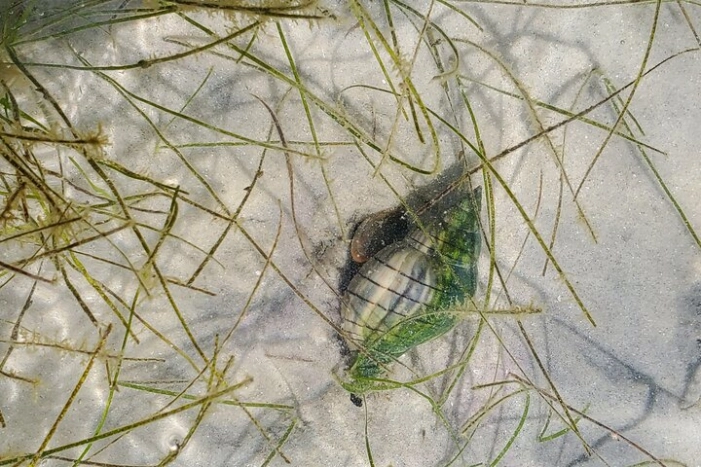 Image 24