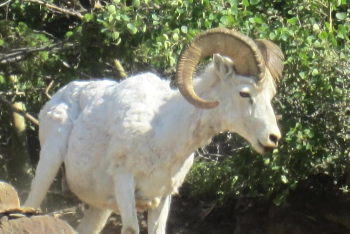Image 10