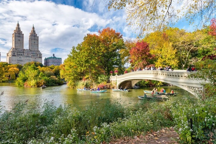 Central Park Private Walking Tour with Transfers 