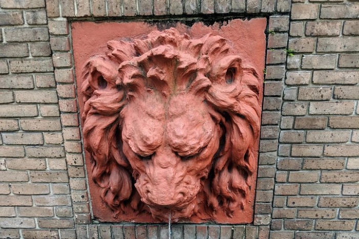 Image 5