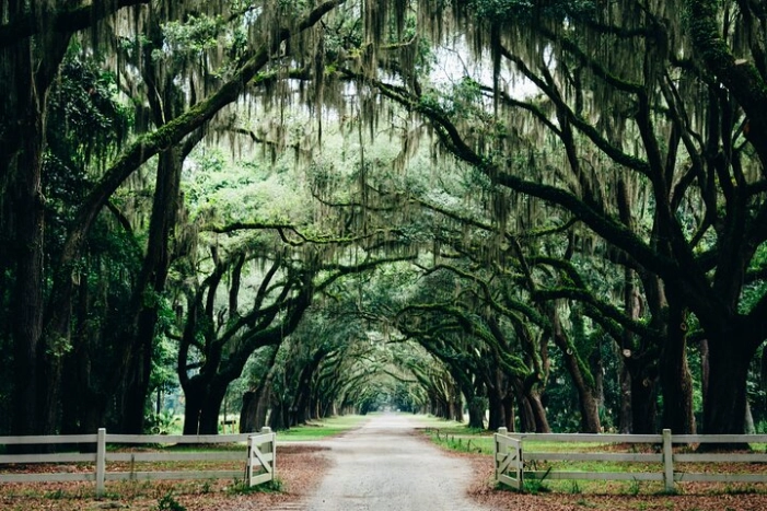 Half-Day Hollywood In The South Film Locations in Savannah