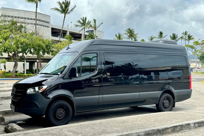 Honolulu Private Transfer: Airport, Port, Hotel (1-12 Passengers)
