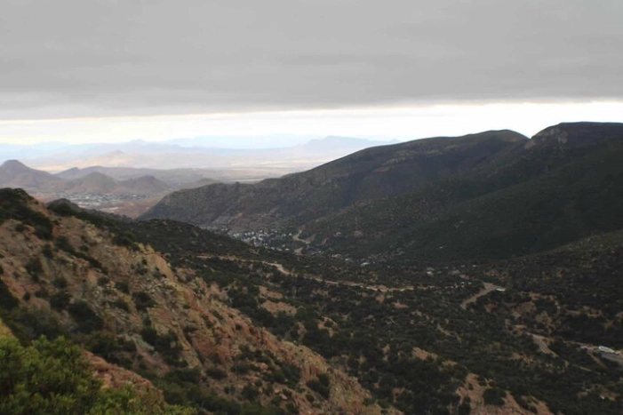 Image 11