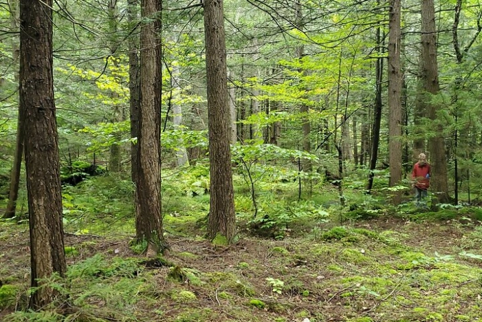 Image 11