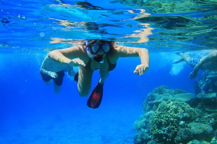 Private Snorkeling Activity in Key Largo