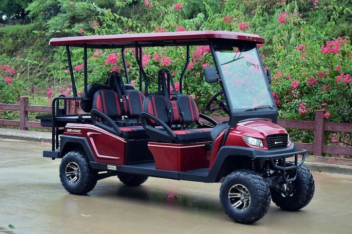 Multi Day 6 Passenger LSV Golf Cart Rental
