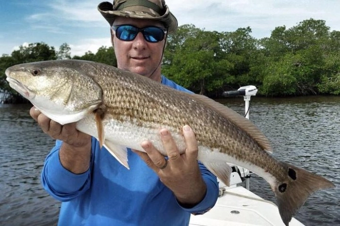 Sarasota Inshore Fishing Charters