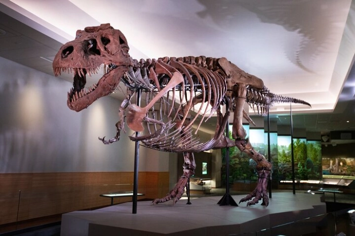  Field Museum of Natural History Early Access Ticket 