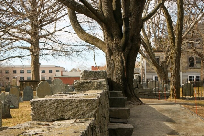 Image 21