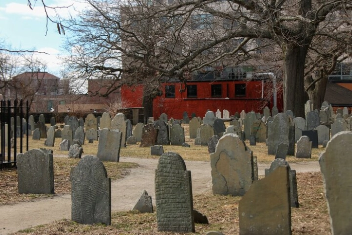Image 22