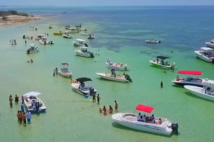 Half Day Charter Sandbar Snorkeling and Eco Adventure