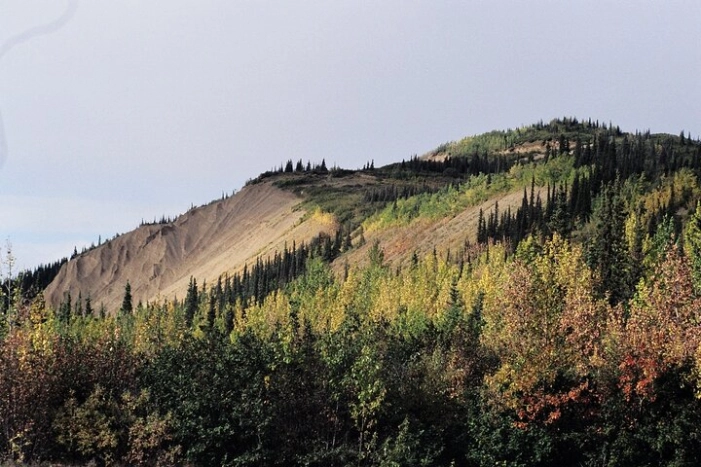 Image 12